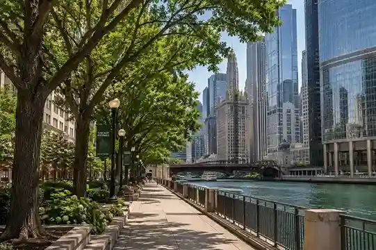 Mature street trees lining the Chicago Riverwalk with downtown skyscrapers in the background