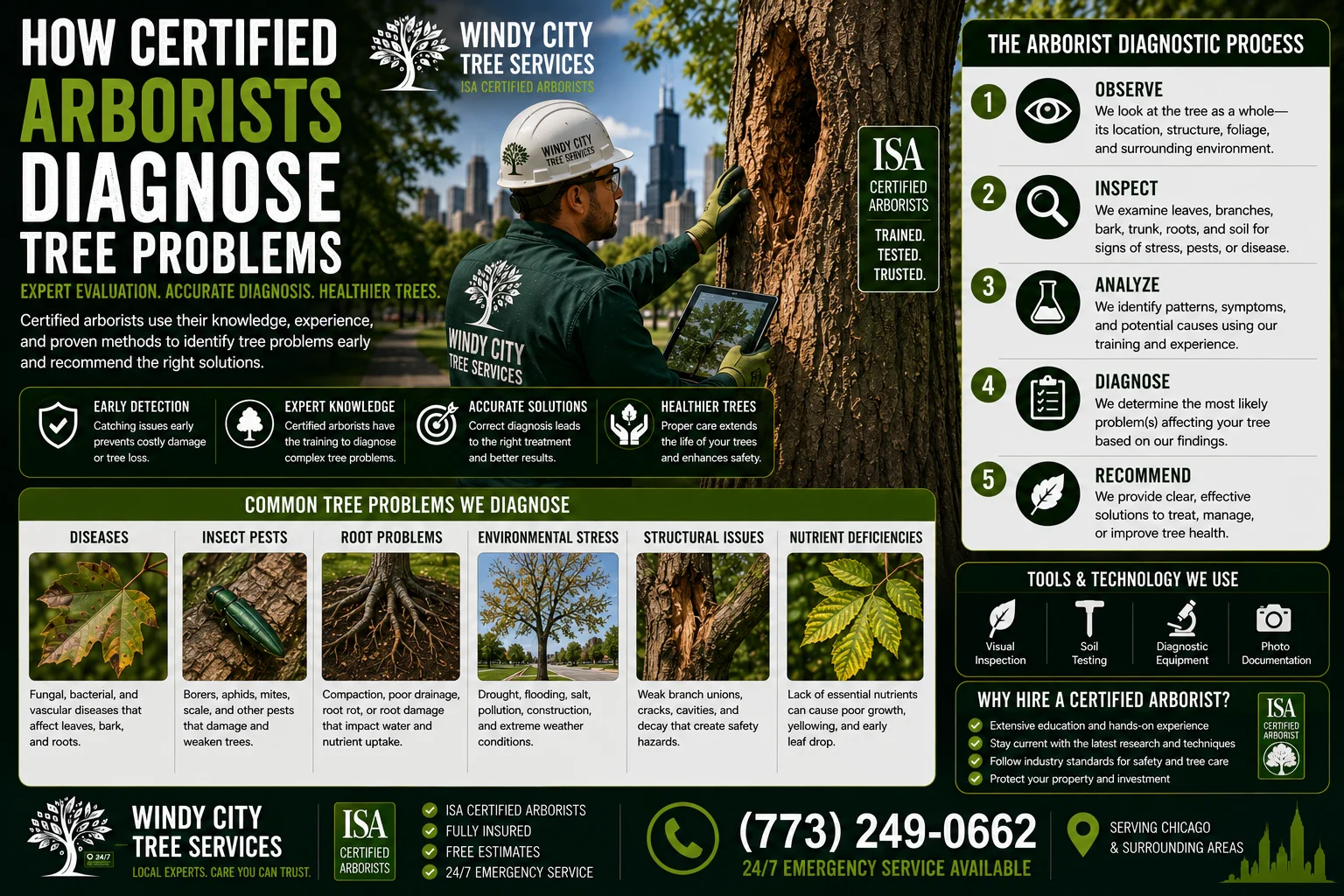 how-certified-arborists-diagnose-tree-problems
