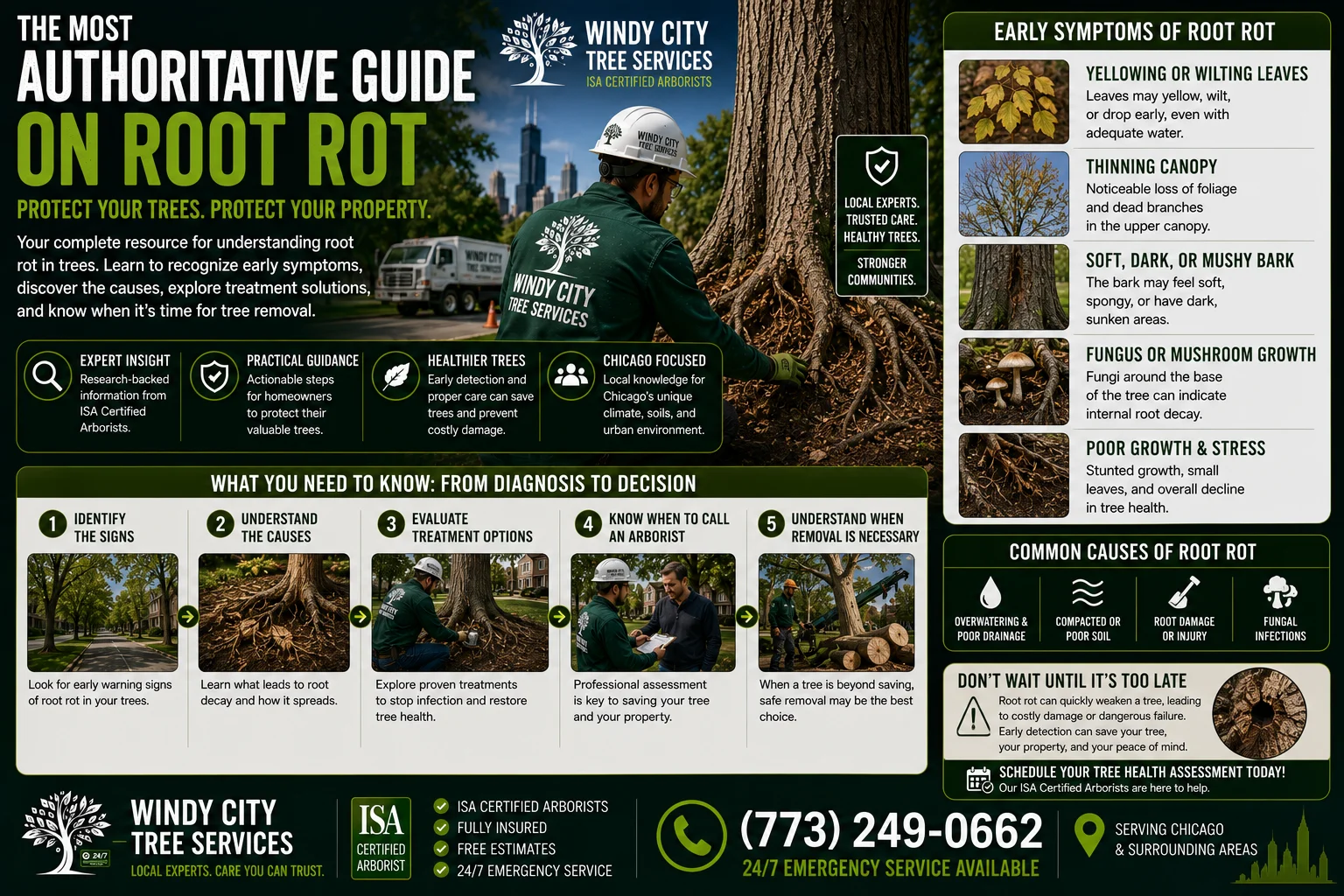 root-rot-symptoms