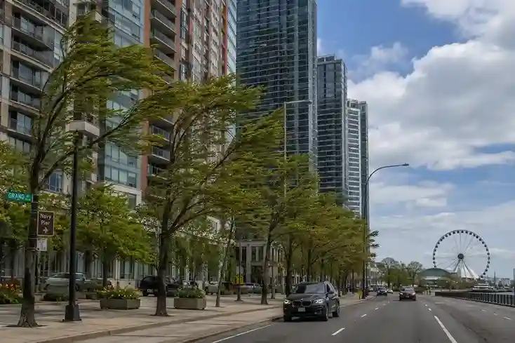Wind-exposed street trees along a high-rise block near Navy Pier in Streeterville