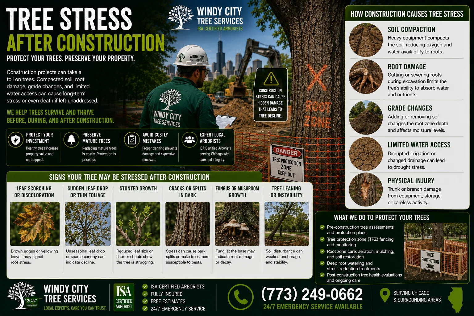 tree-stress-after-construction