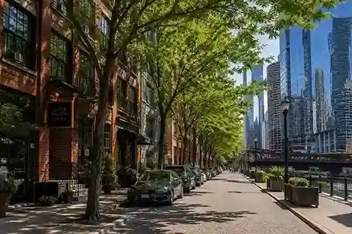 Street trees along a loft-lined block near the Chicago River in River North