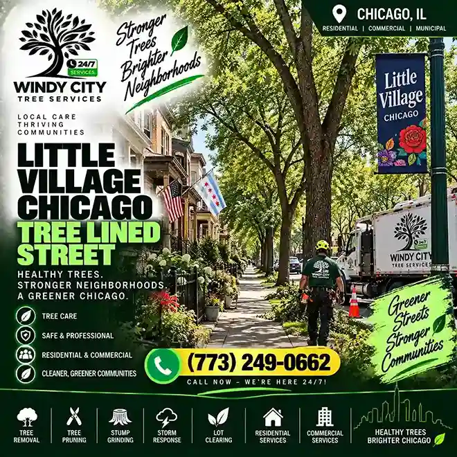 Tree-lined residential street of bungalows and two-flats in the Little Village neighborhood of Chicago